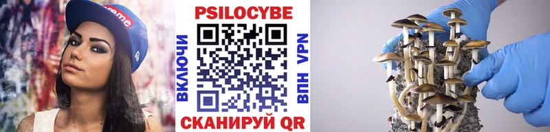 Галлюциногенные грибы Psilocybe  Купить где  Холмск 